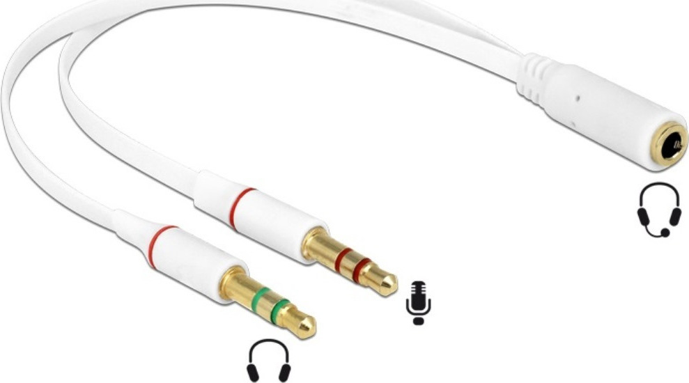 DeLock 2x 3.5mm male 3-pin - 3.5mm 4-pin female (65585)