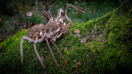 Μηχανικό τρισδιάστατο παζλ EWA Eco Wood Art 3D Wooden Puzzle Mechanical Model - Spider (4815123000488) - Image 5