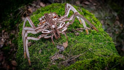Μηχανικό τρισδιάστατο παζλ EWA Eco Wood Art 3D Wooden Puzzle Mechanical Model - Spider (4815123000488) - Image 6