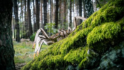 Μηχανικό τρισδιάστατο παζλ EWA Eco Wood Art 3D Wooden Puzzle Mechanical Model - Spider (4815123000488) - Image 8