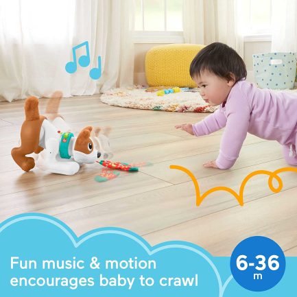 Fisher-Price Εκπαιδευτικό Σκυλάκι Μπουσουλάκι με Φως και Ήχους για 6+ Μηνών (HHH18) - Image 3