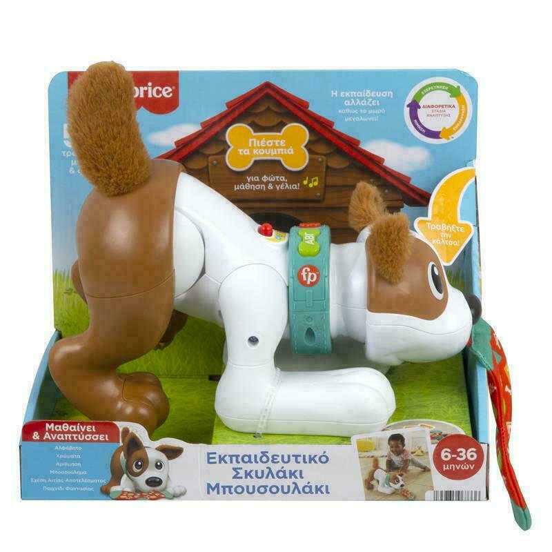 Fisher-Price Εκπαιδευτικό Σκυλάκι Μπουσουλάκι με Φως και Ήχους για 6+ Μηνών (HHH18)