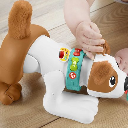Fisher-Price Εκπαιδευτικό Σκυλάκι Μπουσουλάκι με Φως και Ήχους για 6+ Μηνών (HHH18) - Image 5