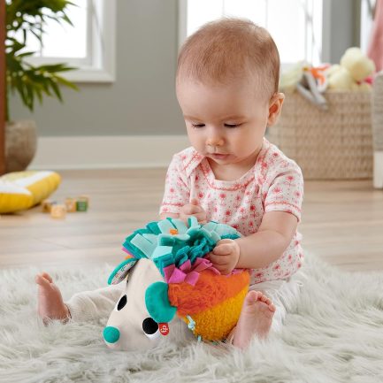 Fisher-Price Μαλακό Σκαντζοχοιράκι - Ουράνιο Τόξο (HBP42) - Image 5