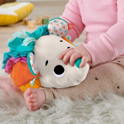 Fisher-Price Μαλακό Σκαντζοχοιράκι - Ουράνιο Τόξο (HBP42) - Image 6