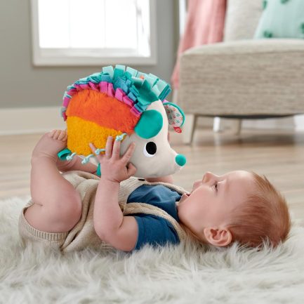 Fisher-Price Μαλακό Σκαντζοχοιράκι - Ουράνιο Τόξο (HBP42) - Image 8