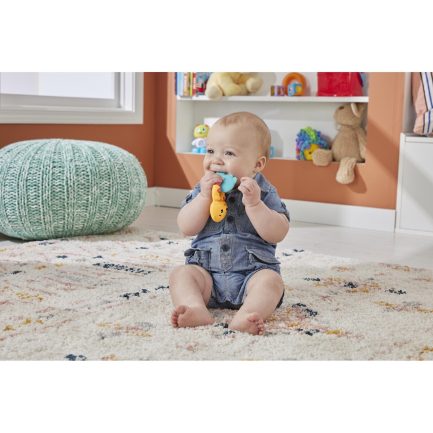 Fisher-Price - Βίδρα ΟδοντοΦυϊας (HKD69) - Image 3