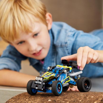 LEGO Technic Off-Road Race Buggy (42164) - Image 6
