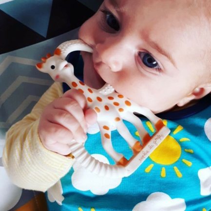 Sophie La Girafe Μασητικό Οδοντοφυΐας "Sophie the Giraffe" από Καουτσούκ για 0 m+ (S200318) - Image 2