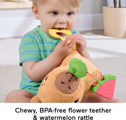 Παιχνιδολαμπάδα Fisher Price® - Snuggly Snacky Capy (HYR54) - Image 6