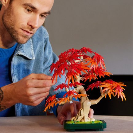 LEGO® Botanicals: Μπονσάι Κόκκινος Ιαπωνικός Σφένδαμος (10348) - Image 4