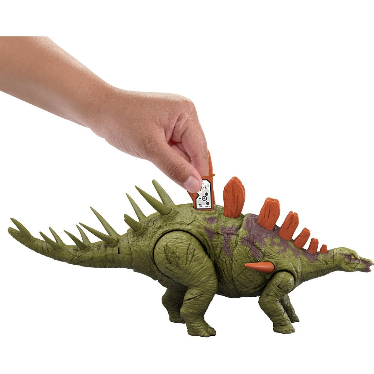 Φιγούρα Δράσης Kentrosaurus Jurassic World Δεινόσαυρος με Ήχους 28εκ. (JCL65) - Image 6