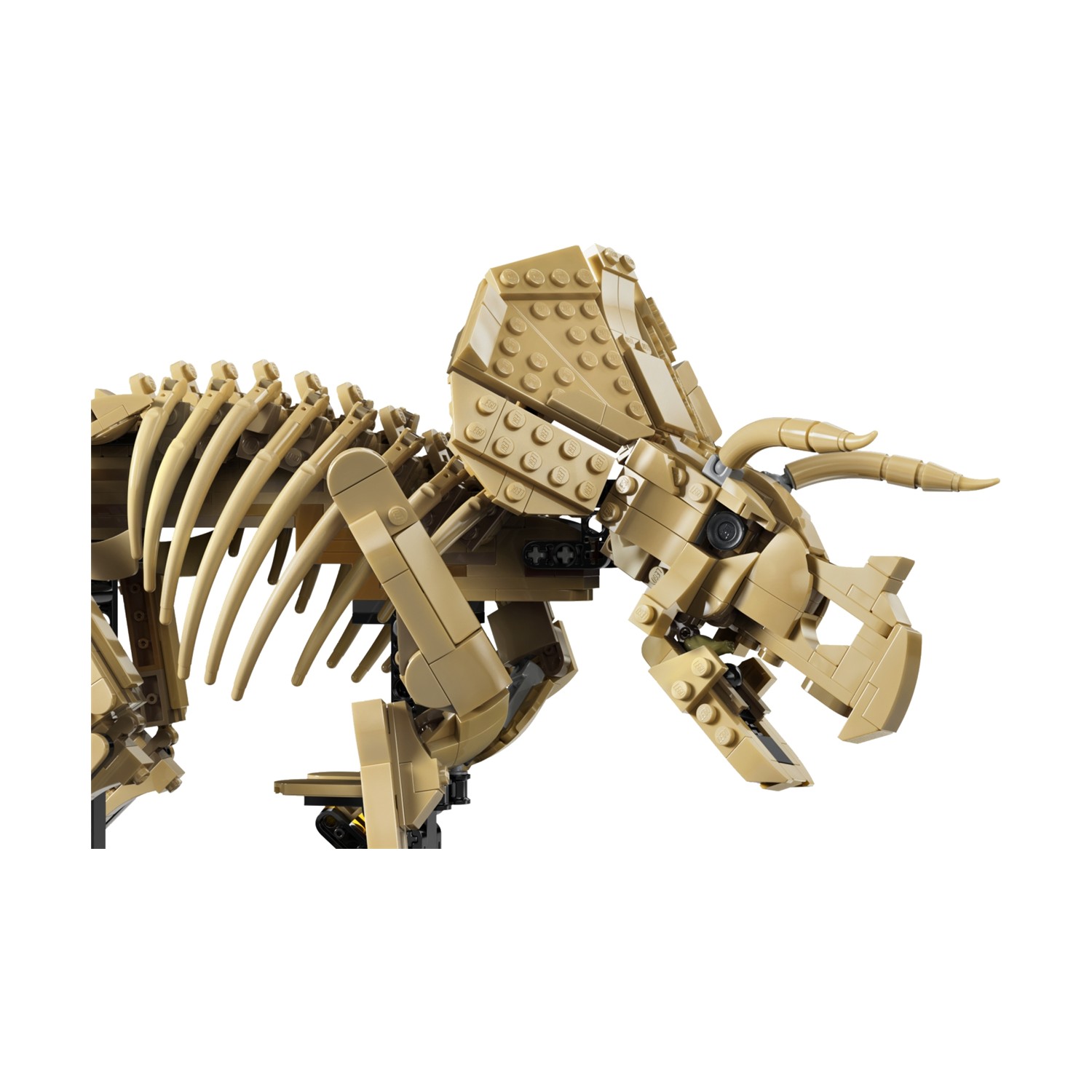 LEGO Jurassic World: Απολιθώματα Δεινοσαύρων: Τρικεράτοπας (77985) - Image 3