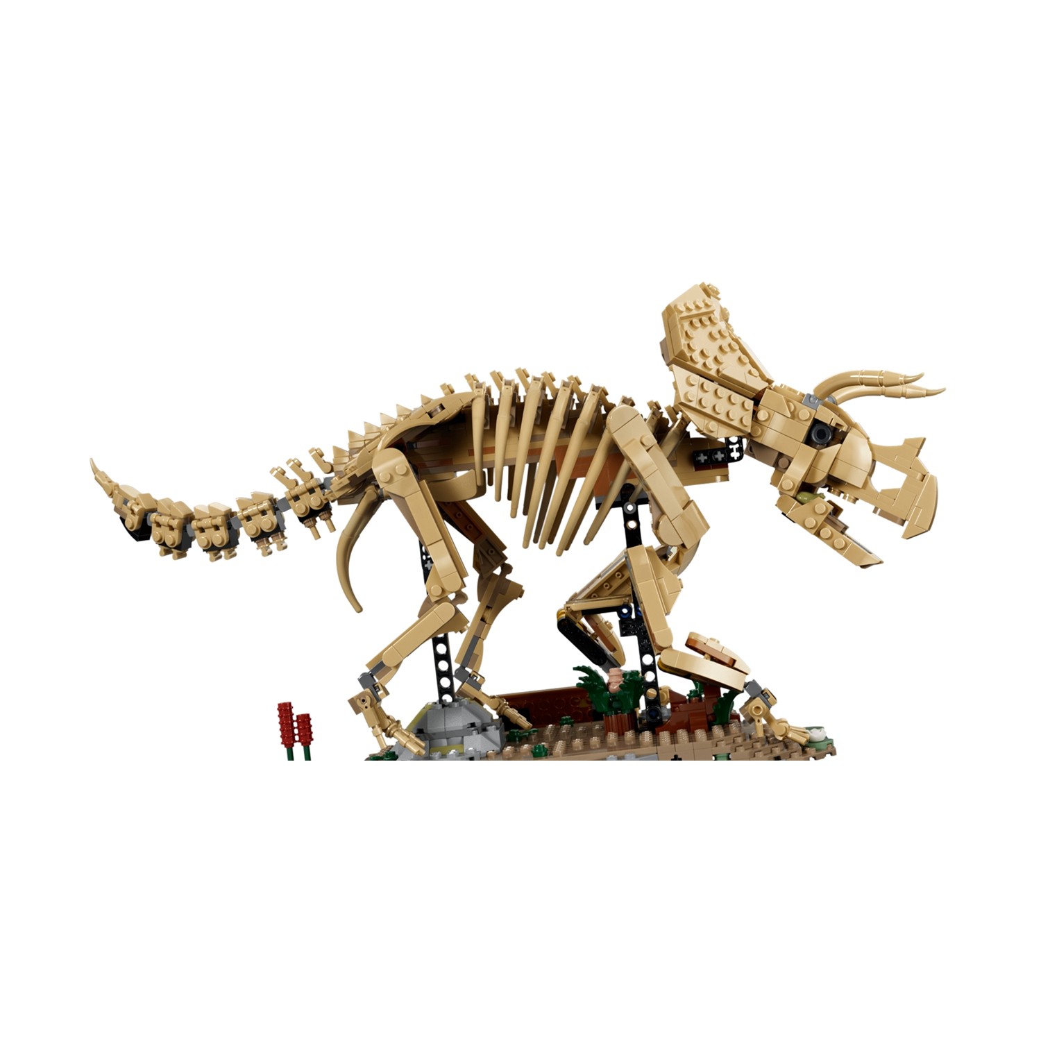 LEGO Jurassic World: Απολιθώματα Δεινοσαύρων: Τρικεράτοπας (77985) - Image 5