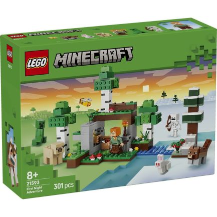 LEGO Minecraft First Night Adventure για 8+ Ετών 301τμχ