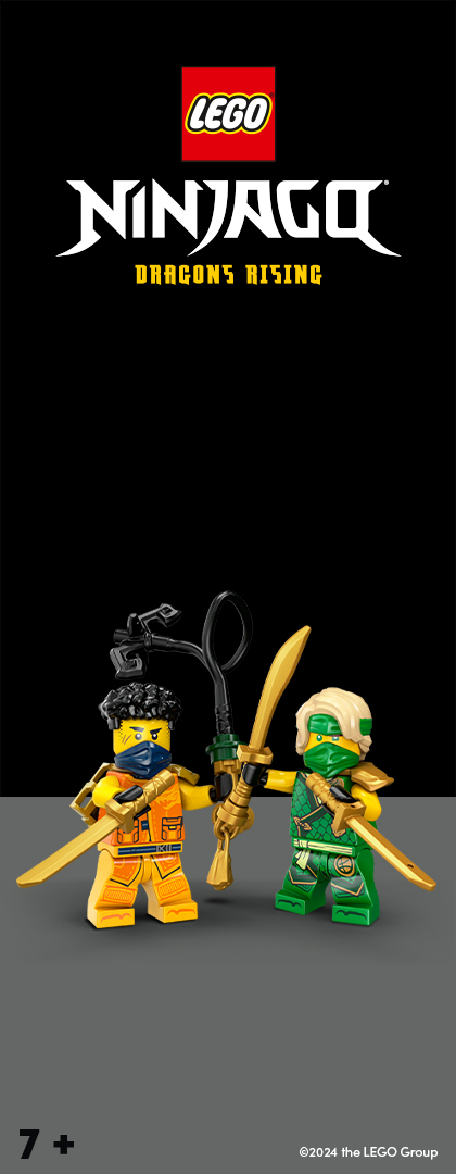 LEGO® NINJAGO® left side banner